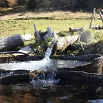 Detox Almhaus Pusterwald