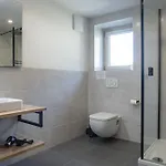 Detox Almhaus Pusterwald