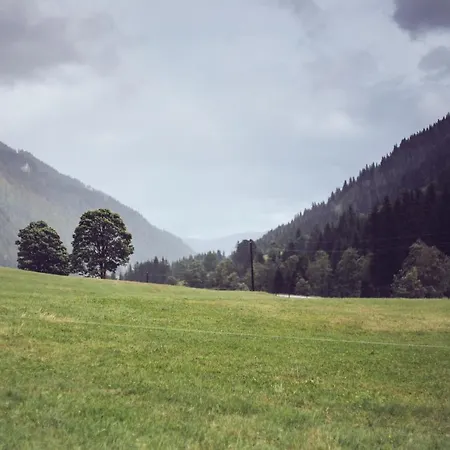 Alpstuga Detox Almhaus Pusterwald