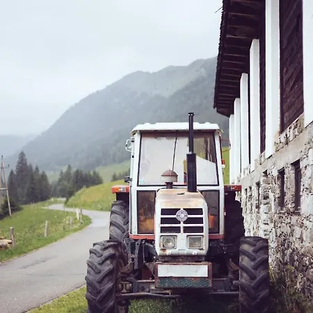 Alpstuga Detox Almhaus