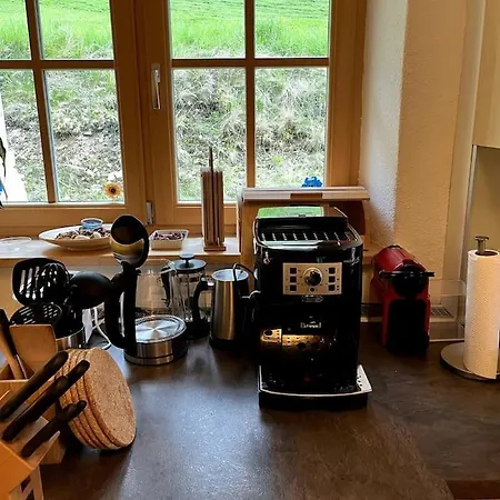 Alpstuga Detox Almhaus *