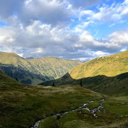 Detox Almhaus * Pusterwald