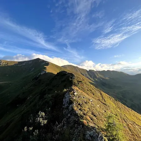 Detox Almhaus Chalet Pusterwald