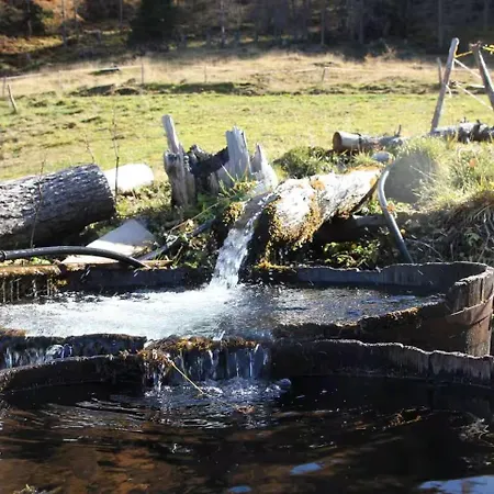 Detox Almhaus Pusterwald