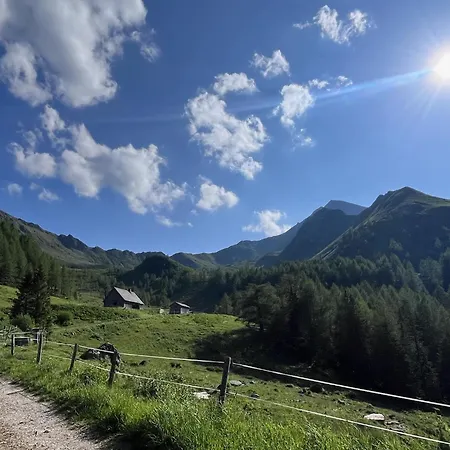 Detox Almhaus Pusterwald