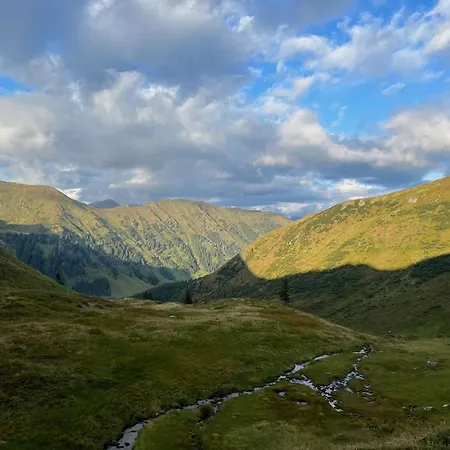Detox Almhaus Alpstuga Pusterwald