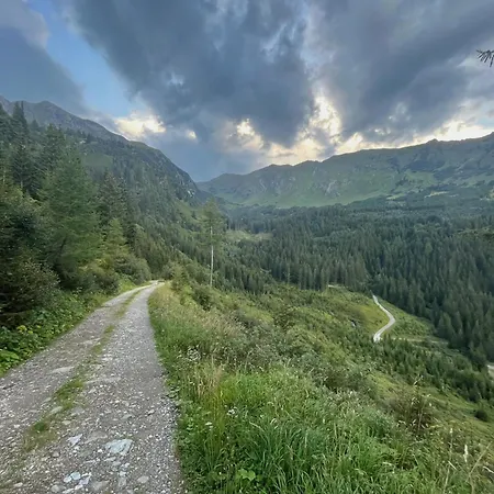 Detox Almhaus * Pusterwald