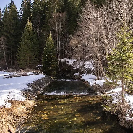 Detox Almhaus Pusterwald
