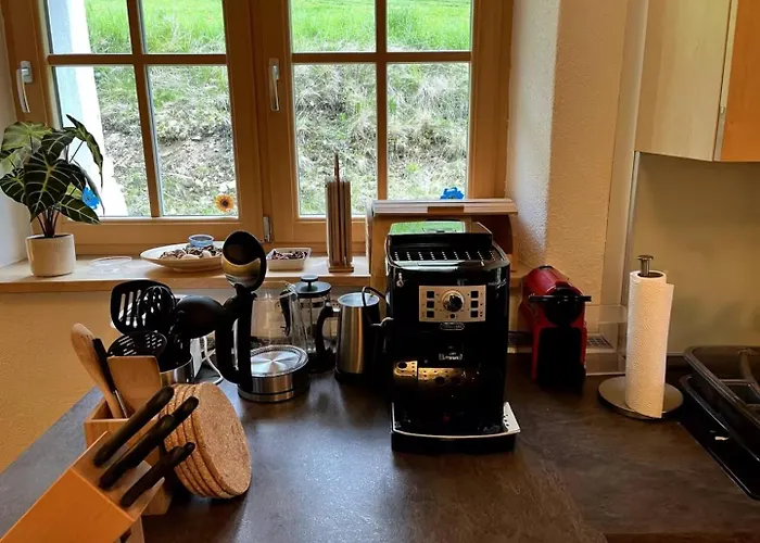 Detox Almhaus Chalé *