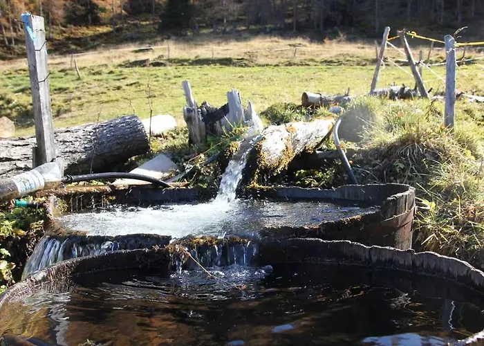 Detox Almhaus Pusterwald