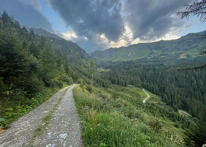 Detox Almhaus * Pusterwald