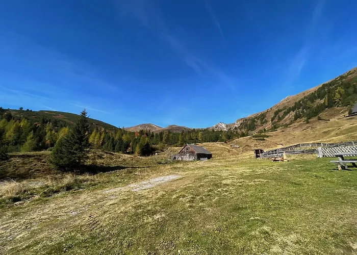 Detox Almhaus Chalé Pusterwald